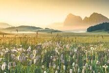 2012中文字幕最新-2012，一场未卜的未来之旅