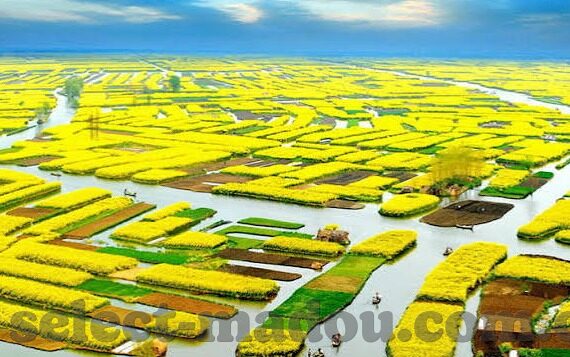 2021国产麻豆剧传媒精品-2021国产麻豆剧传媒的精髓熟稔与创新