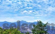 成人激情视频在线观看-点燃生活火花，探索成人激情视频的适度空间