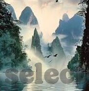 大象传媒apppalilpali-探索大象传媒APP，palilpali的独特魅力与影响