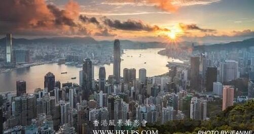 大象视频app无需付费-免费观影新选择，大象视频APP的魅力探索