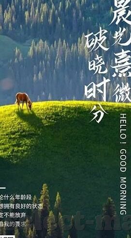 大象做梦文化传媒-探索大象做梦文化传媒的创意之旅