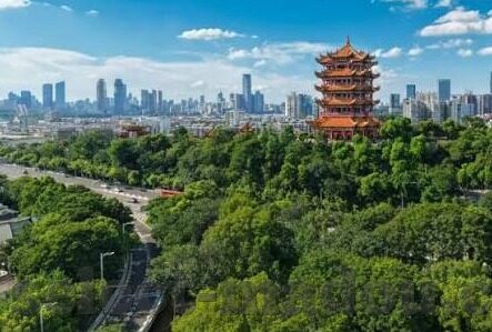 国产成人剧情av麻豆果冻传媒-国产成人剧情中的情感探索——以麻豆果冻传媒为例