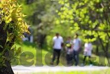快猫成人短视频app下载-快猫成人短视频app，探索成人娱乐的数字新世界