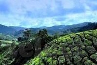 伦理电影免费观看在线秋霞-伦理电影，在线免费观影的秋霞之旅