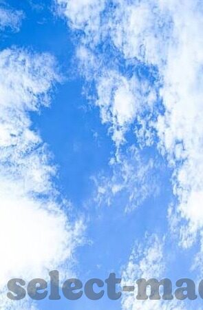欧美成人手机视频-欧美成人手机视频，文化、安全与个人选择的交汇点