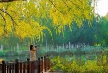 吴梦梦麻豆传媒-每一帧的和谐与呼唤，吴梦梦与麻豆传在创意与挑战中的共舞